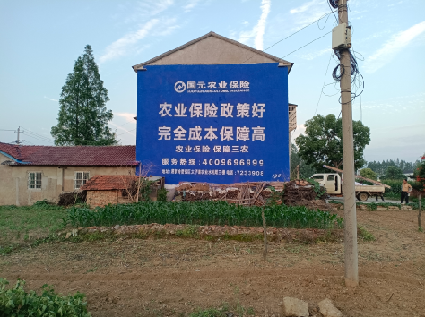  丹凤墙体广告为何受追捧？