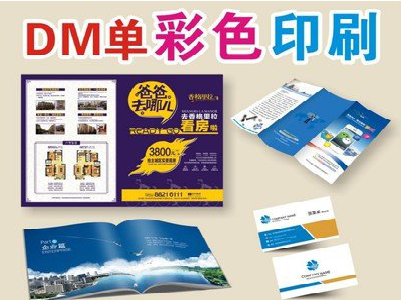  丹凤单页印刷，色彩搭配简单。